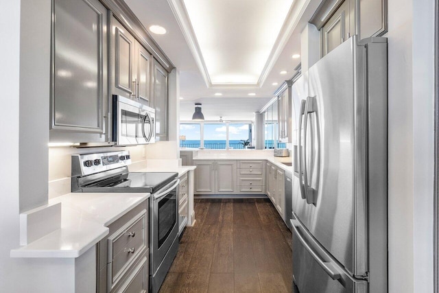 kitchen featuring dark hardwood / wood-style flooring, stainless steel appliances, and a tray ceiling