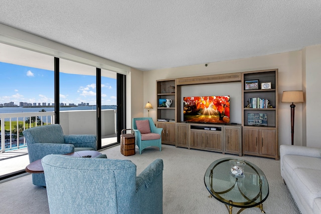 carpeted living room with a textured ceiling