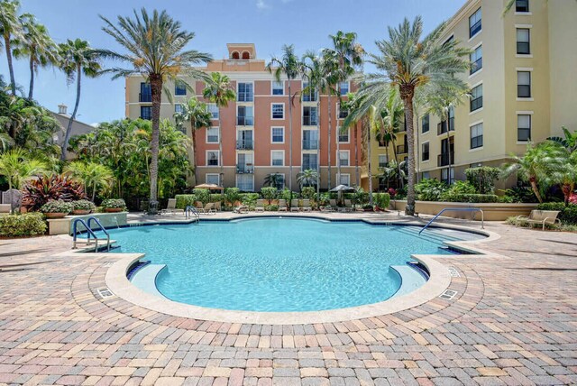 view of swimming pool featuring a patio