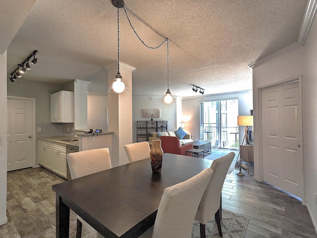 dining space with sink, crown molding, track lighting, and a textured ceiling