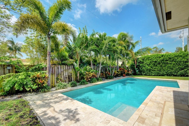 view of pool with a patio