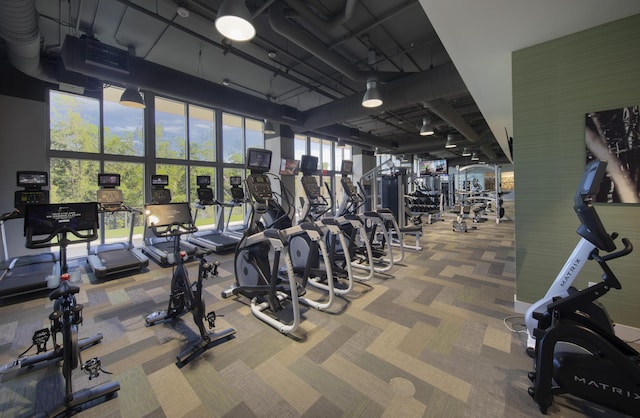 exercise room featuring carpet