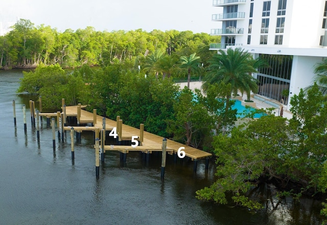 dock area featuring a water view