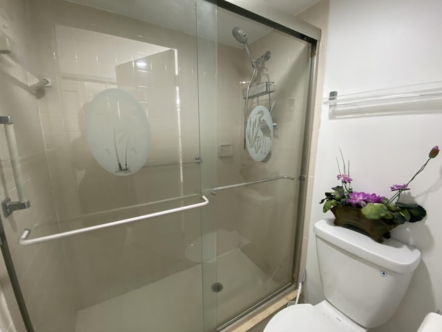 full bathroom featuring a shower stall and toilet