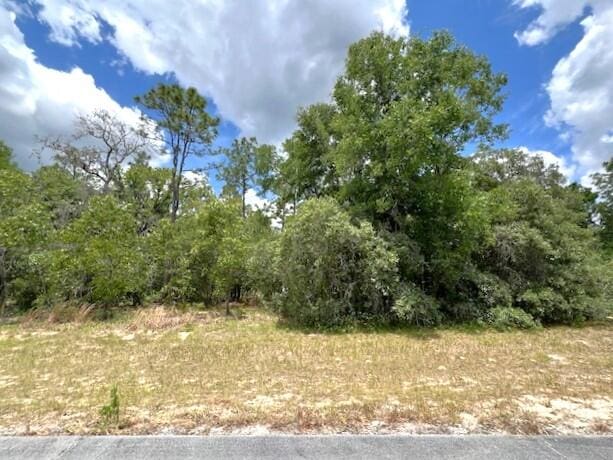 Listing photo 3 for TBD SW 138th Ln, Ocala FL 34473