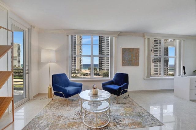 living area with ornamental molding