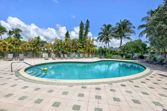 view of pool featuring a patio