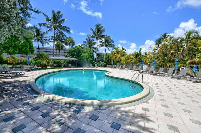 view of pool with a patio area