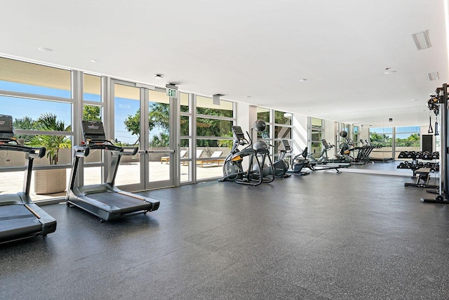 exercise room featuring a wall of windows