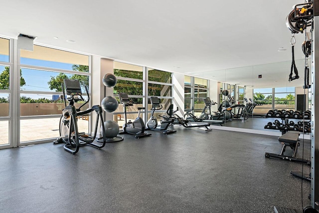 workout area featuring a wall of windows