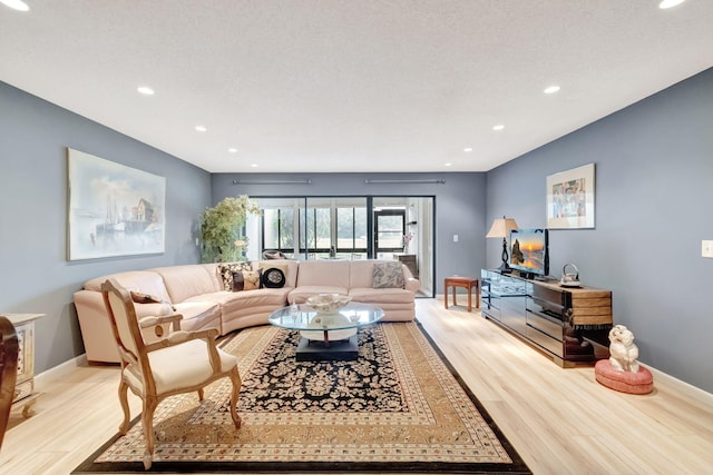 living room with light hardwood / wood-style floors and a textured ceiling