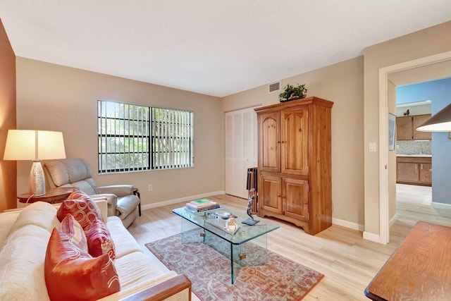 living room featuring light hardwood / wood-style floors