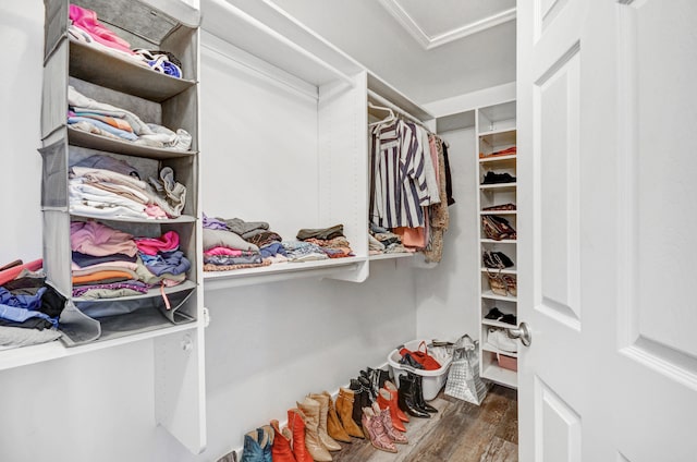 spacious closet featuring dark hardwood / wood-style flooring