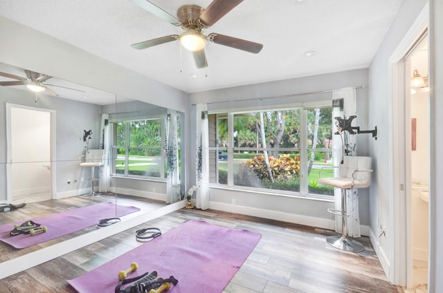 exercise area with a wealth of natural light, ceiling fan, and light wood-type flooring