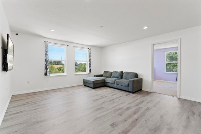 living room with light hardwood / wood-style flooring