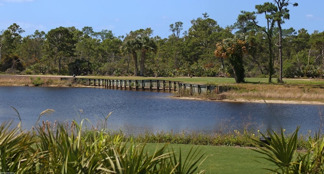 view of water feature