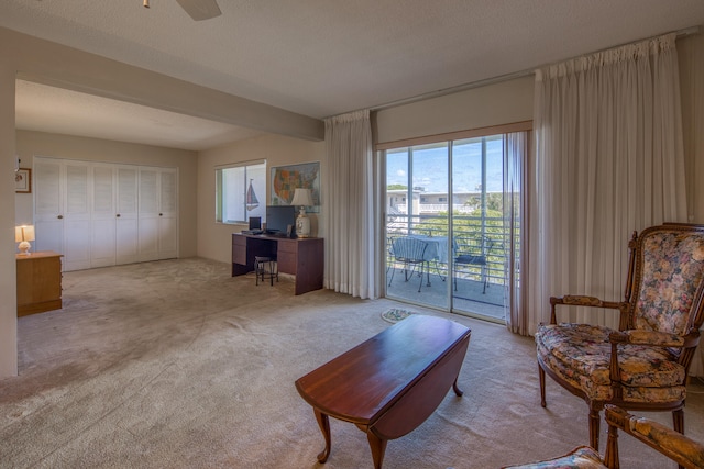 living room with light carpet and a textured ceiling