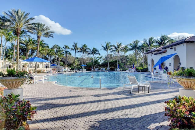 view of swimming pool featuring a patio area