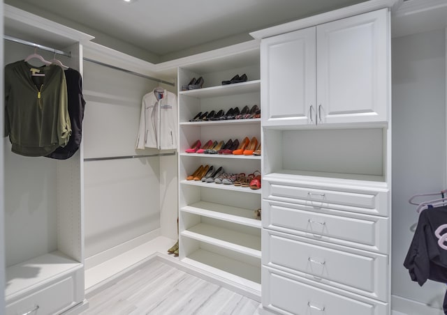 spacious closet with light hardwood / wood-style flooring