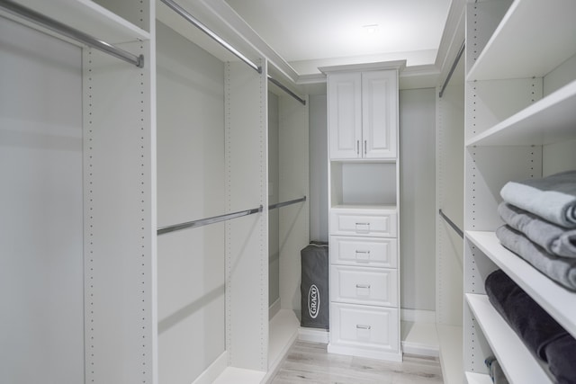 spacious closet with light hardwood / wood-style floors