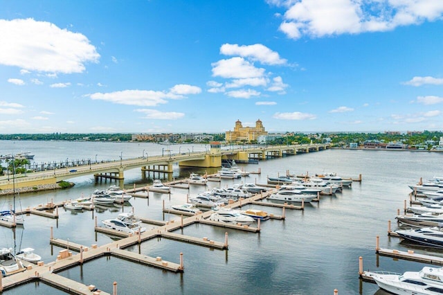 dock area with a water view