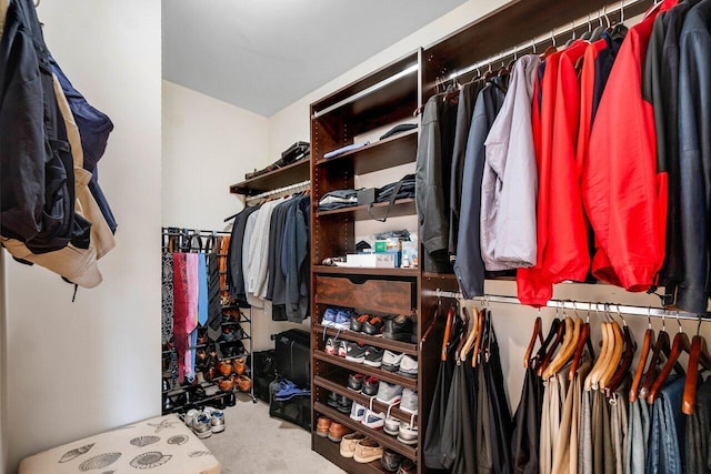 spacious closet featuring carpet flooring