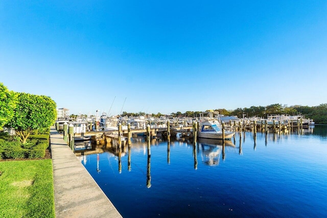 dock area with a water view