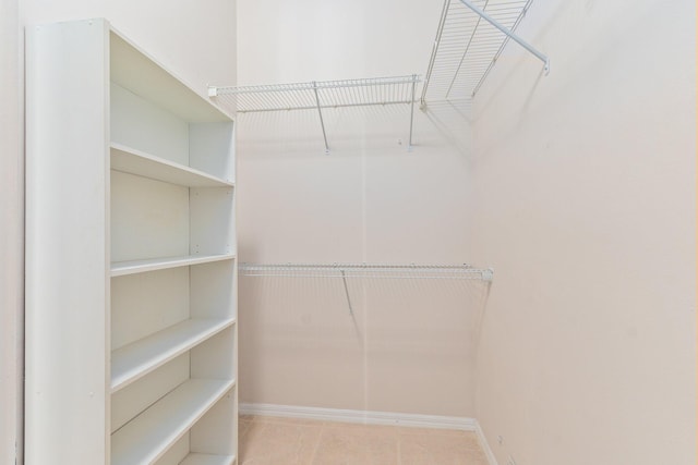 view of spacious closet