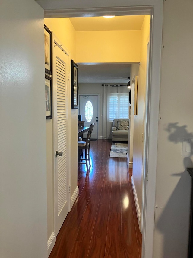 hall featuring dark hardwood / wood-style flooring