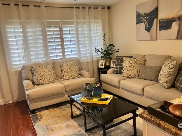 living room with wood-type flooring