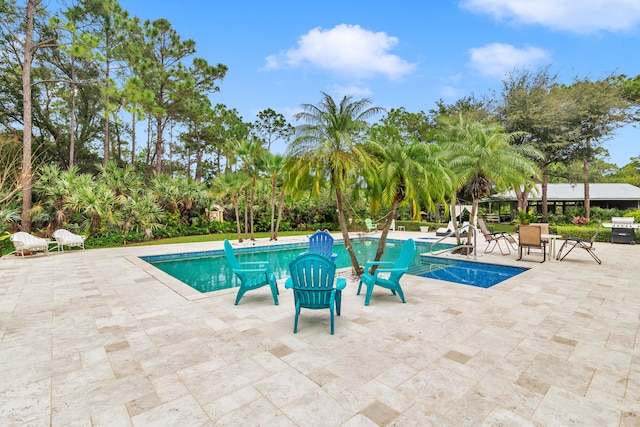 view of swimming pool featuring a patio area