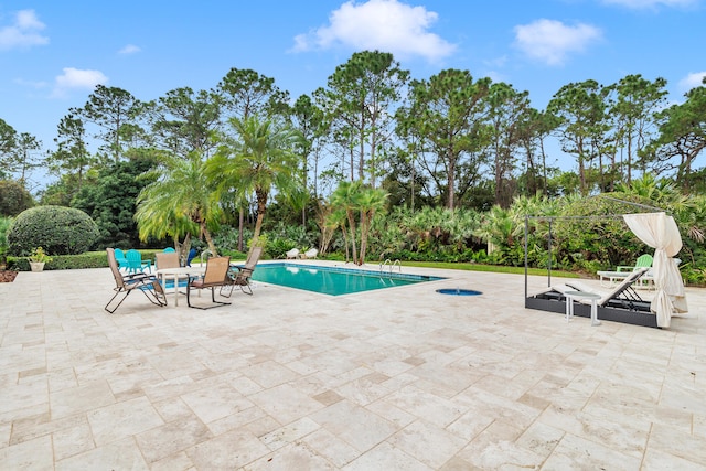 view of swimming pool with a patio area