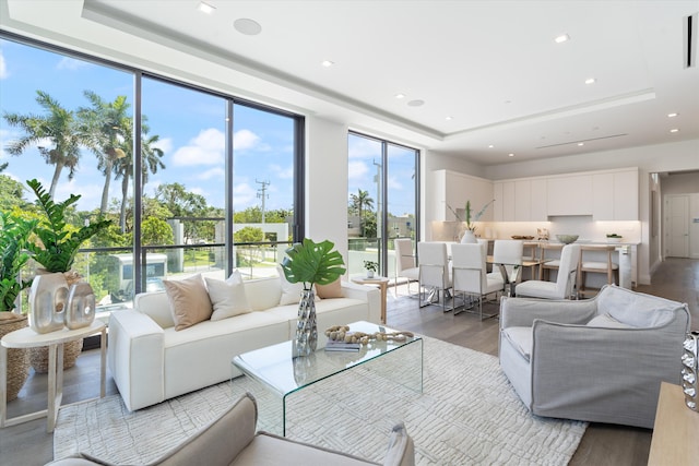 living room featuring a raised ceiling and light hardwood / wood-style floors