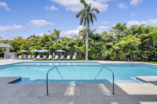 view of swimming pool