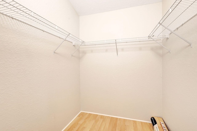 walk in closet featuring hardwood / wood-style flooring