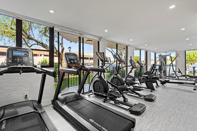 gym with floor to ceiling windows