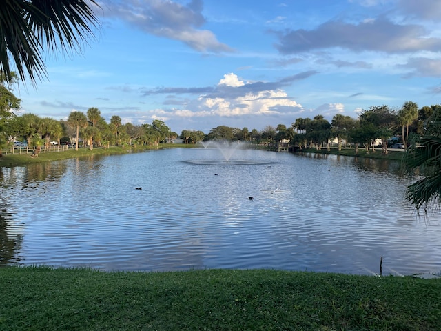 view of water feature