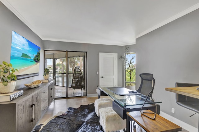 home office featuring ornamental molding, light wood-type flooring, and a wealth of natural light