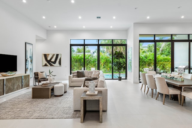 living room featuring a healthy amount of sunlight