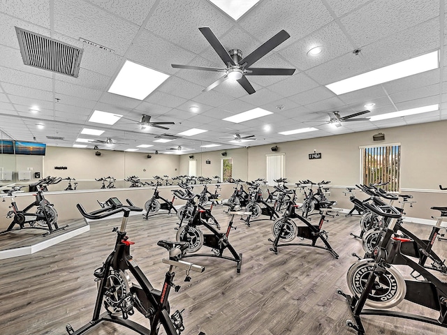 exercise room featuring light hardwood / wood-style floors, a paneled ceiling, and ceiling fan