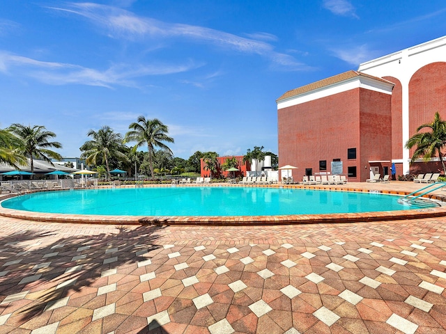 view of swimming pool with a patio