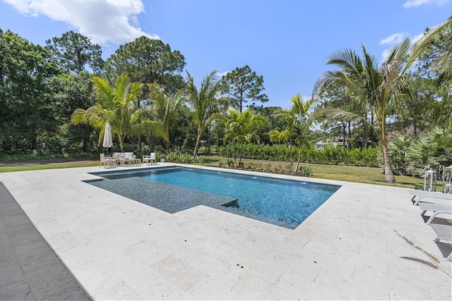 view of swimming pool featuring a patio area