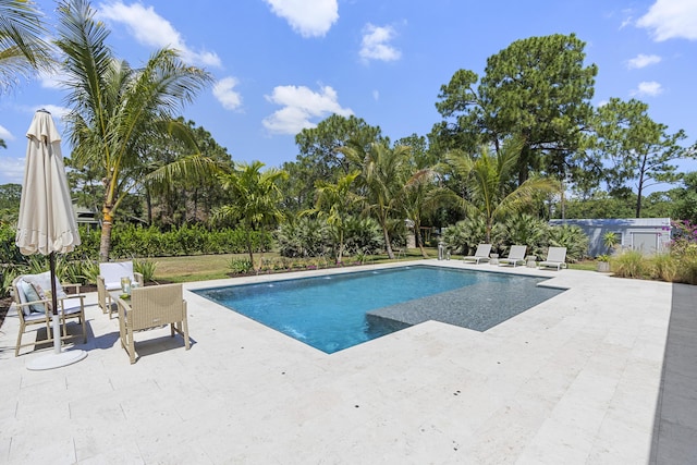 view of pool featuring a patio