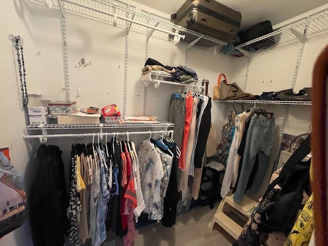 view of spacious closet