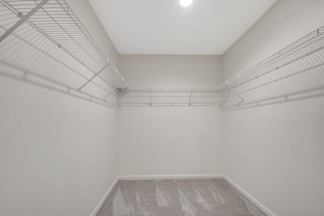 spacious closet with carpet floors