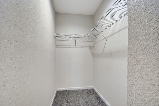 spacious closet with carpet