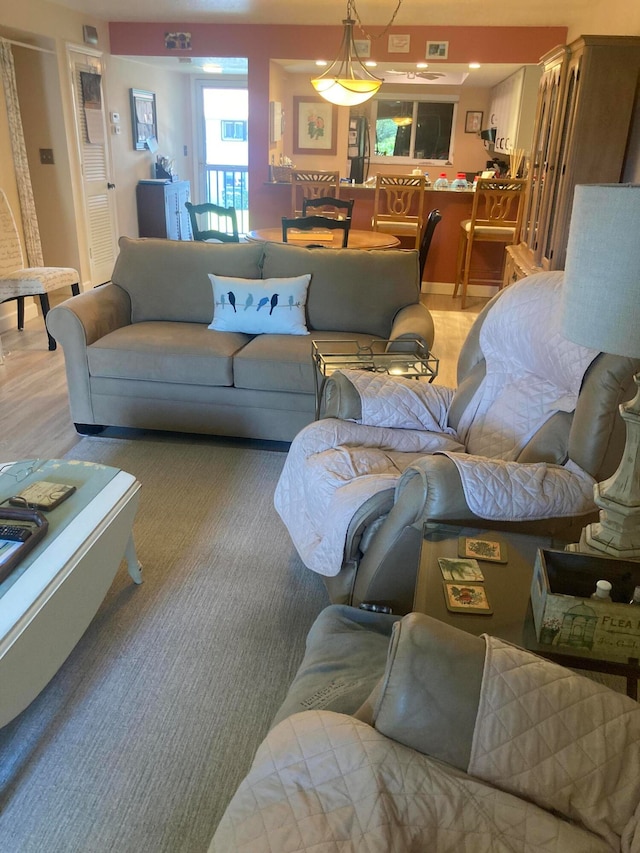 living room featuring hardwood / wood-style floors