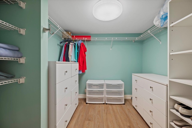 spacious closet featuring light hardwood / wood-style floors