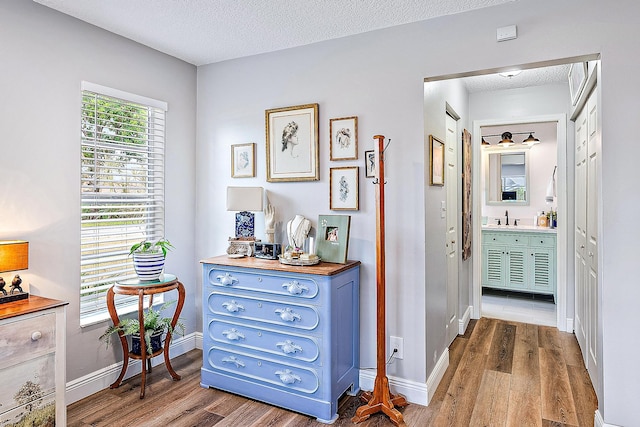 interior space with sink, wood-type flooring, and a textured ceiling