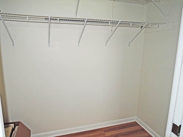 walk in closet with hardwood / wood-style floors